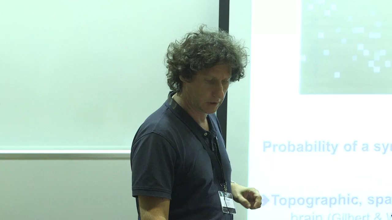 Max Garagnani - Simulating word acquisition and semantic grounding in [...] [2016]