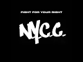 Fight for Your Right (Extended Mix)