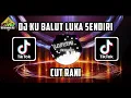 Download Lagu DJ KU BALUT LUKA SENDIRI MIX TERBARU CUT RANI