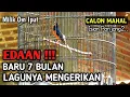 Download Lagu MEWAH..!! Murai Batu Gacor Isian Kapas Tembak Sambung Cililin Lovebird Kenari Dll