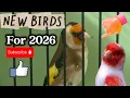 New birds for 2026 
