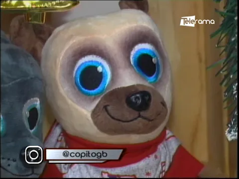 Copito GB presenta opciones prendas navideñas para mascotas