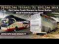 Download Lagu Pembelian Terbaru Po. Berlian Jaya‼️Datang Bus Ke-10 Suites Combi Eks Sembodo. Persiapan Rute Baru🔥 MP3