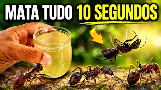 ISTO MATA FORMIGAS NA HORA! JOGOU, MATOU! Como matar Formigas