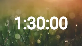 1 hour 30 minute timer 90minute