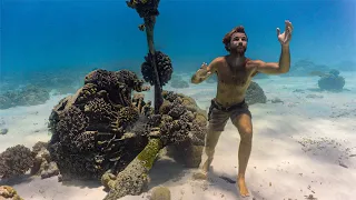 PLANE CRASH SURVIVAL CHALLENGE (Remote Island, No Food, No Water)