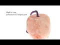 Horsemen s Pride Himalayan Salt Block on Rope for Horses 2 2 Pounds SS22