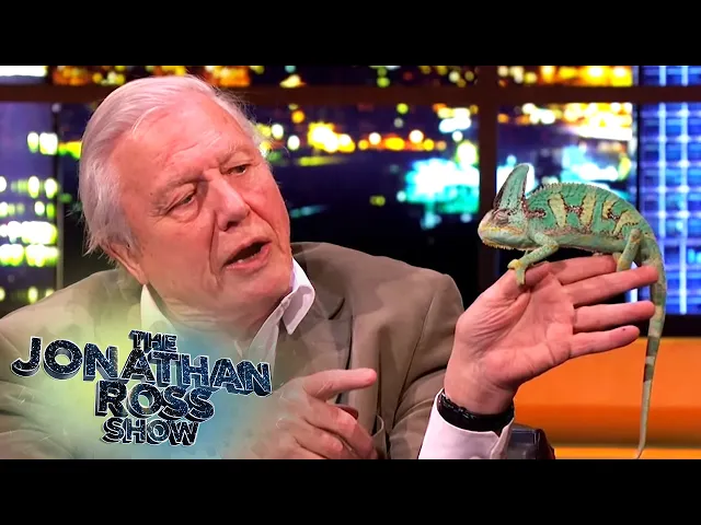 Video: Sir David Attenborough on The Wildest Pets He's Ever Had | The Jonathan Ross Show