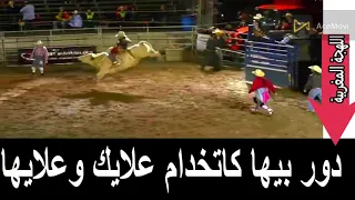 حصري ولأول مرة الأغنية الجزائرية دور بيها ياالشيباني مترجمة إلى اللهجة المغربية 