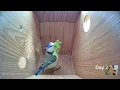 Download Lagu From empty nest to first egg in less than 8 minutes! - BlueTit nest box live camera highlights 2021