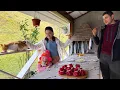 Gezinsleven in de Karpaten 🏔️ Gerookte makreel, werk in de bergen en gezellige momenten samen ❤️🔥