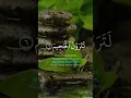 Download Lagu Surah At Takasur Bacaan Al Quran Merdu Muzammil Hasballah