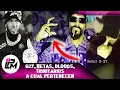 Netas G27 Trinitarian and artist organizations belong to them