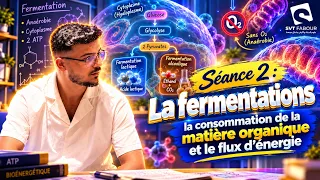ATP : séance 2 la fermentation  / SVTfabour