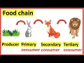 Food chains Producer primary consumer secondary consumer tertiary consumer