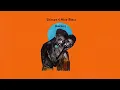 Shimza & Aloe Blacc - Darling (Visualizer) [Helix Records]
