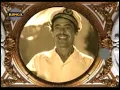 elefantes - asi es la vida