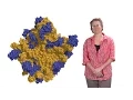Rachel Green Johns Hopkins U HHMI 1 Protein synthesis a high fidelity molecular event