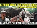Download Lagu KEBUN BINATANG TERBESAR DI JOGJA PELIHARAAN SULTAN KERATON 100 TAHUN KITA GELEDAH | GEMBIRA LOKA ZOO