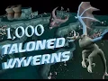 Loot From 1 000 Taloned Wyverns