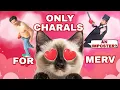 All Merv Want For Christmas is CHARALS! 😹💕