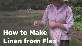 How To Make Linen From Flax 
