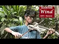 Download Lagu Akeboshi - WIND (Ost. Naruto) violin cover