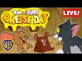 Download Lagu 🔴 LIVE! Tom \u0026 Jerry Cheese Day FULL EPISODES Livestream! 🧀 🐭 🐱 | @wbkids ​