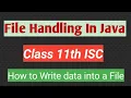 File handling in java Class 11th ISC