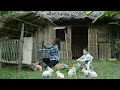 Download Lagu Single Mom Renovates House for Bunnies Given to Her by Kind Woman