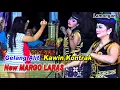 Lagu Gelang Alit _ Kawin Kontrak Koplo _ New Margo Laras