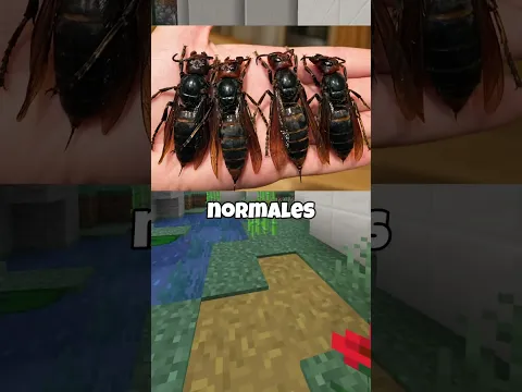 Cosas Que Son Mucho Más Grandes De Lo Que Crees 😮🐎
