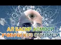 Lagu Янги зикрни бошлаган кишилар учун Ал Басир асмоси