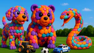 The mascot vibrato assistant dog placed on the football field is popular, co-produced, and creative