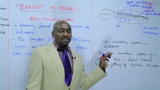 BIOLOGY FORM 2 - TRANSPORT IN ANIMALS