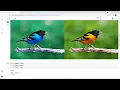 Basic Open CV Google Colab and Histogram of image in Python Image Processing Python Histogram