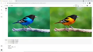 Basic Open CV Google Colab and Histogram of image in Python Image Processing Python Histogram