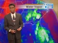 Weatherman vs Cockroach