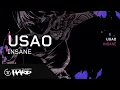 Download Lagu USAO - INSANE