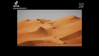 ابداها دايما بسم الله 