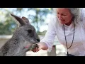 F J Tours Blue Mountains Tours