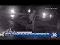 Scott County Sheriff s Office searching for suspect in attempted break-ins