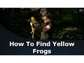Final Fantasy XV How To Find Yellow Frogs The Professors Protege Quest