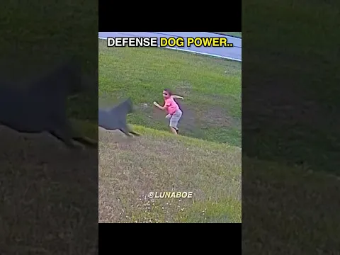 Protection Dog SAVED Him 🙏💗 #shorts #childsafety #protectiondog