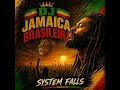 Living Conscious - Dj Jamaica Brasileira