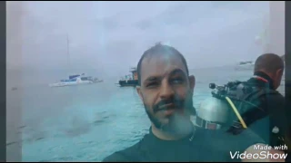                       سيلين ديون انا على قيد الحياة دندنها