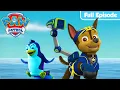 Pups Save the Penguins PAW Patrol Full Episode Cartoons for Kids