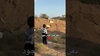 دفن قمرا جود اكسبلور خيل ترند حصان خياله سعد Horse 
