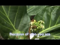 Download Lagu Because of Who You Are - Minus One