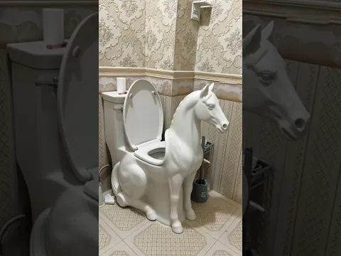She Totally changed her getup only for this toilet